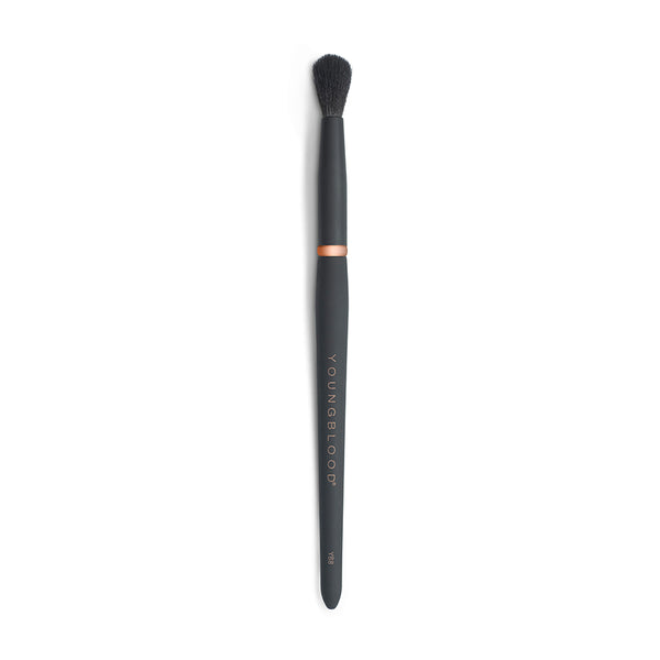 YB8 Tapered Blending Brush - Youngblood Mineral Cosmetics