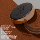 Loose Mineral Rice Setting Powder ingredients