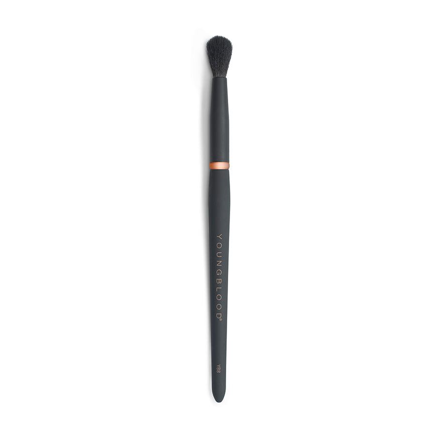 YB8 Tapered Blending Brush